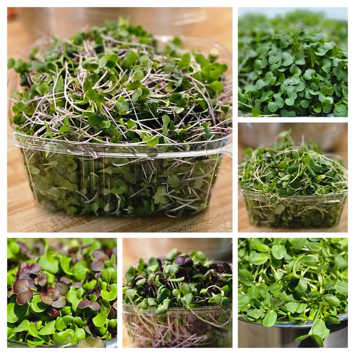 Fresh design preview