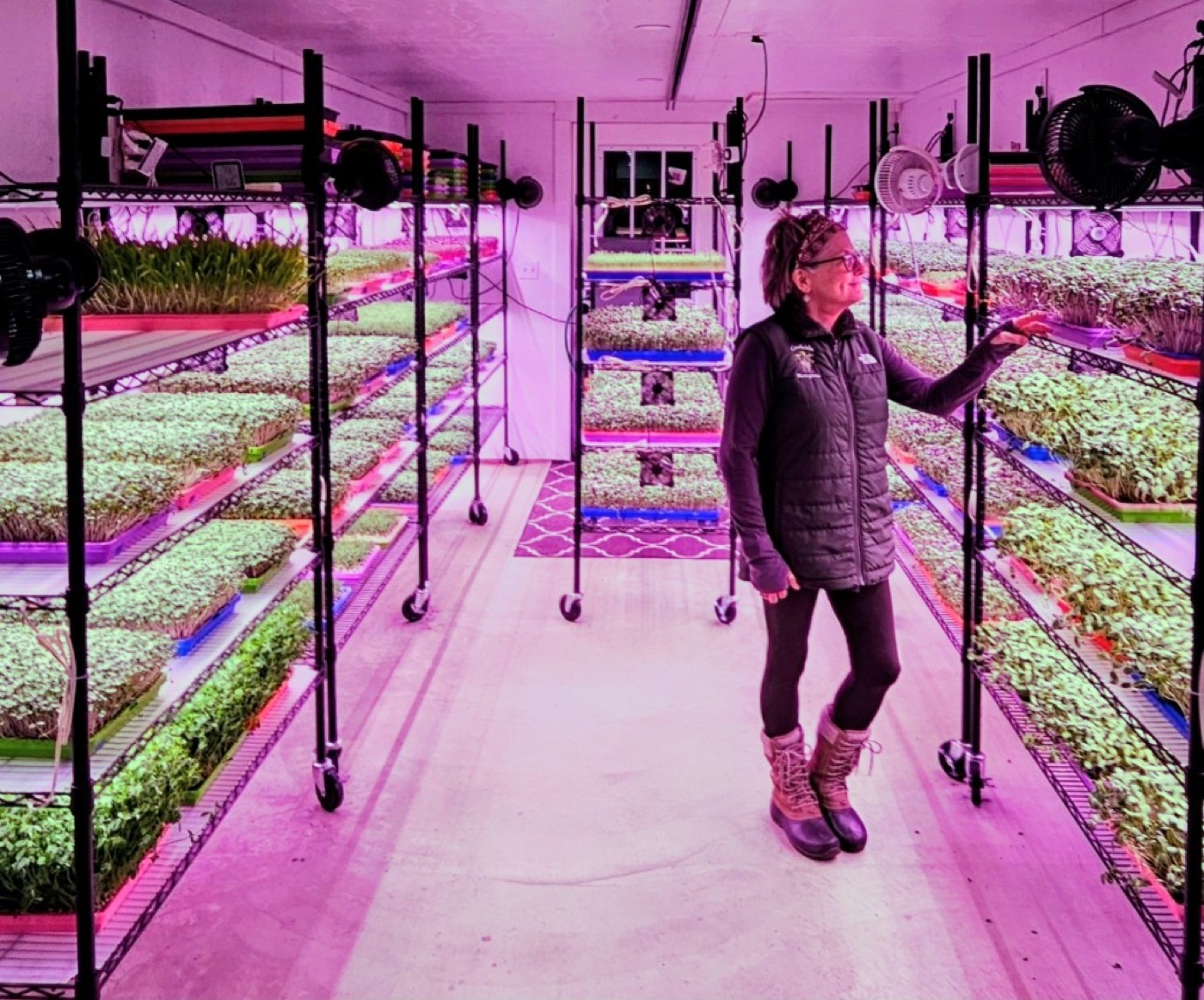 Rustic design preview