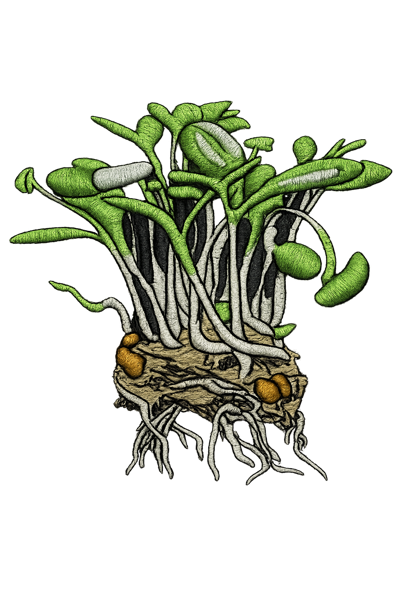 Creekside Microgreens