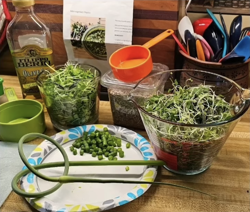 Microgreens pesto preparation scene with fresh ingredients